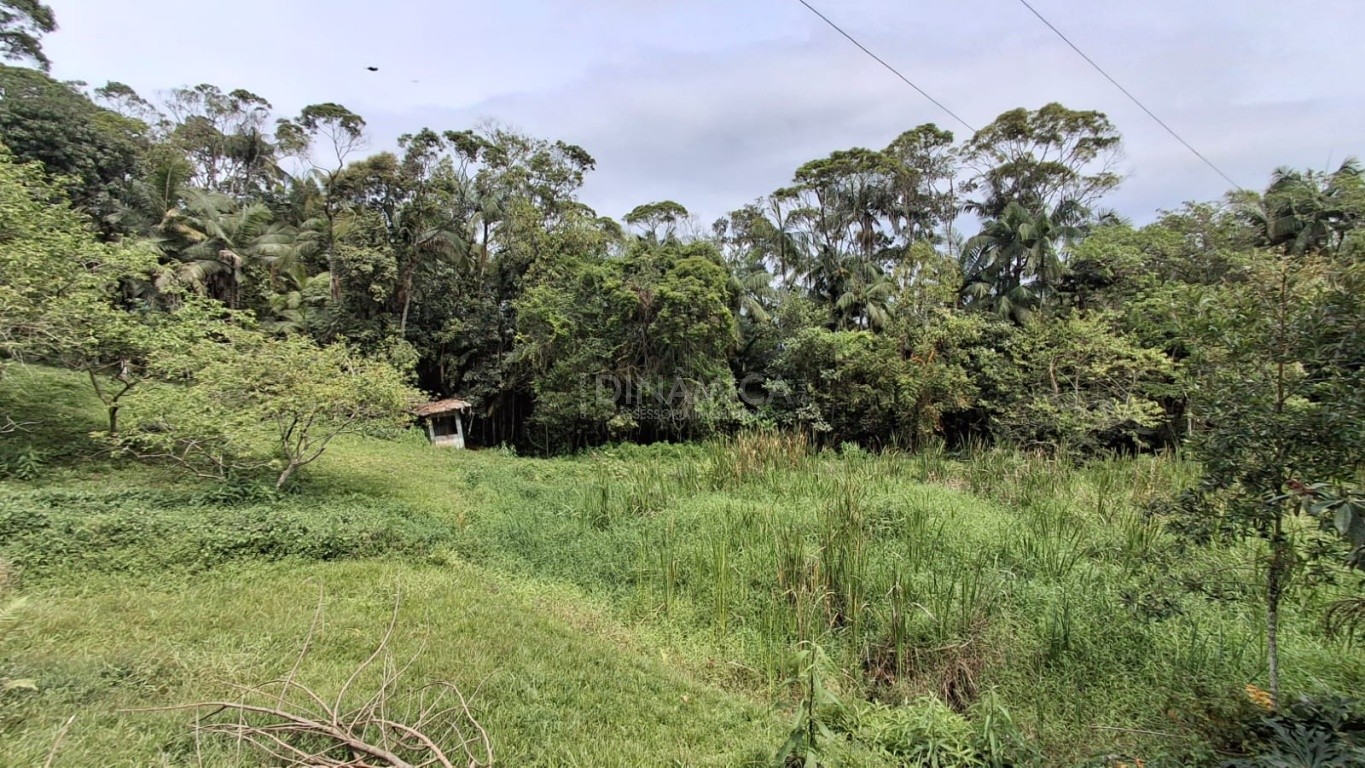 Descubra o potencial deste sítio espaçoso com 6.552 m! - Indaial SC — foto 4