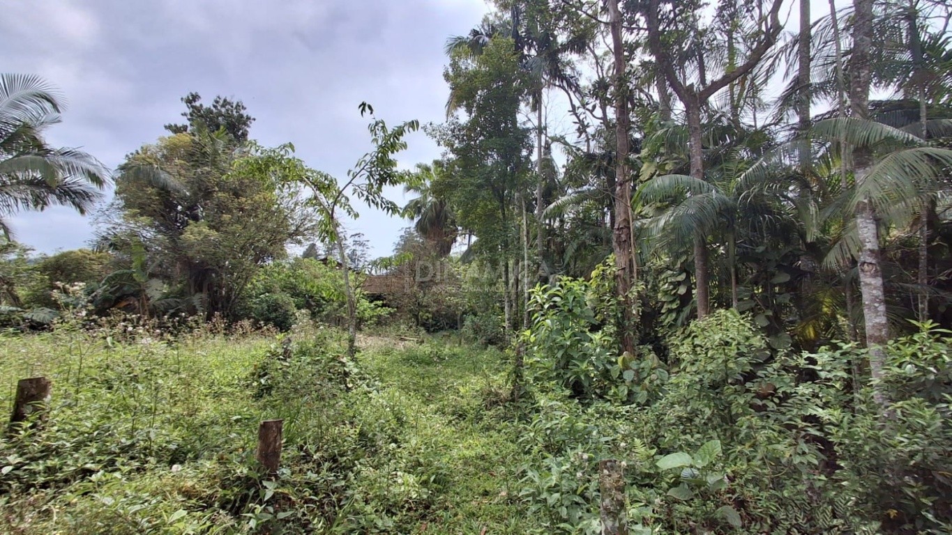 Descubra o potencial deste sítio espaçoso com 6.552 m! - Indaial SC — foto 6
