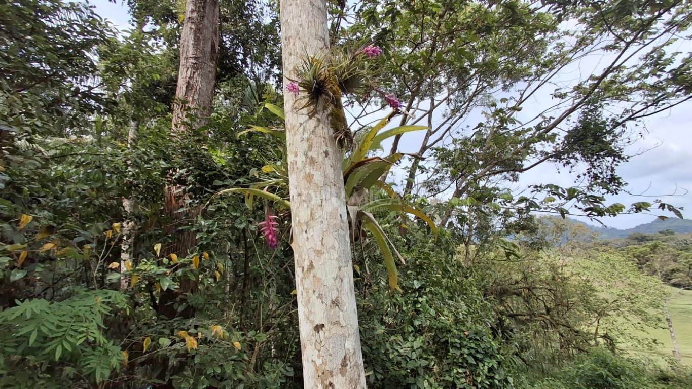 Descubra o potencial deste sítio espaçoso com 6.552 m! - Indaial SC — foto 7
