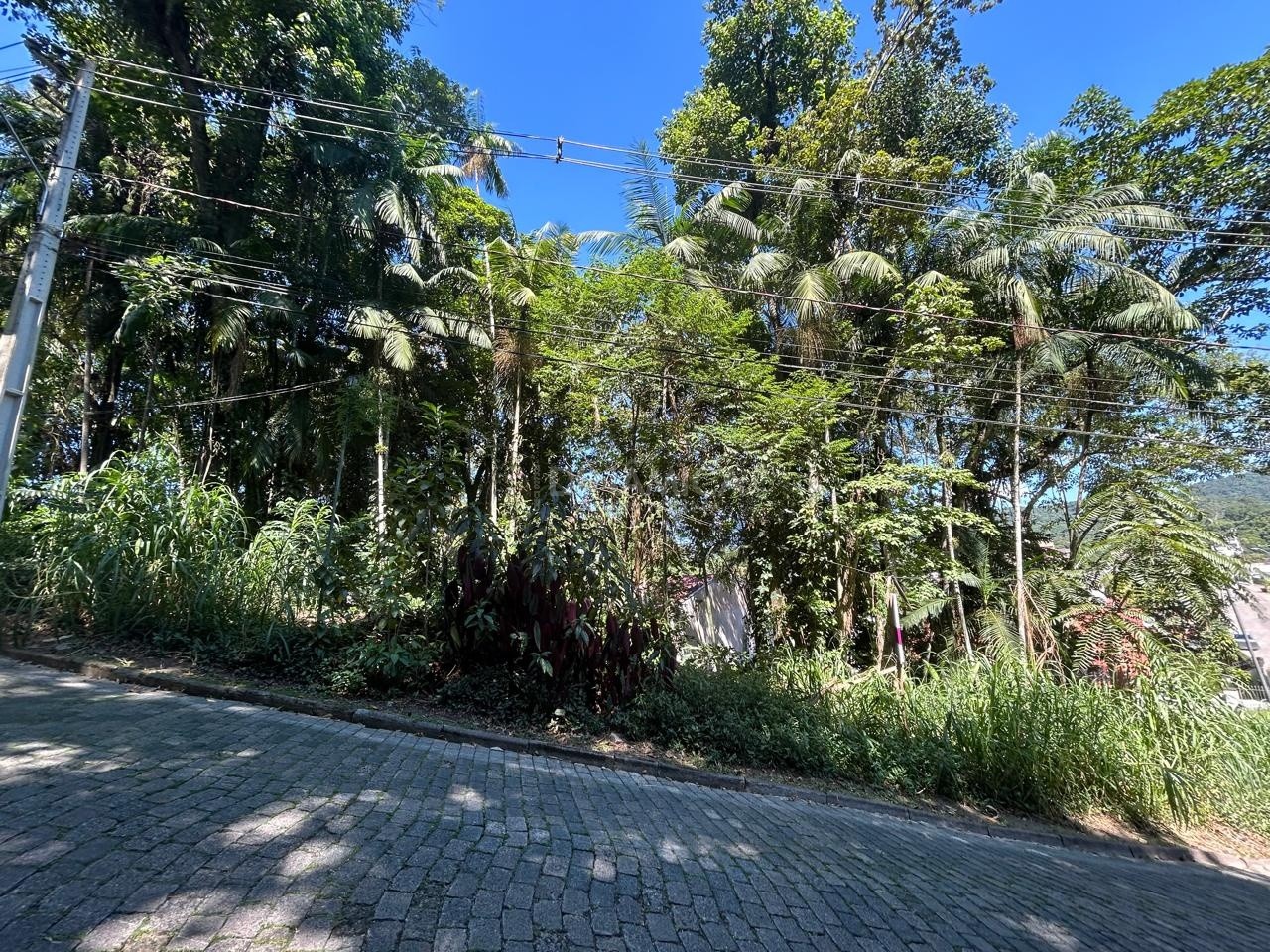 Terreno próximo ao trevo da Velha em Blumenau com 543,04 m2 e 16,78 metros de frente. De R$ 590.000,00 Por R$ 445.000,00. - foto 1