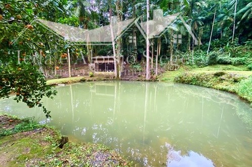 Sitio com 39.600 m no Bairro Testo Rega em Pomerode/SC Ref. 1504 — foto 3