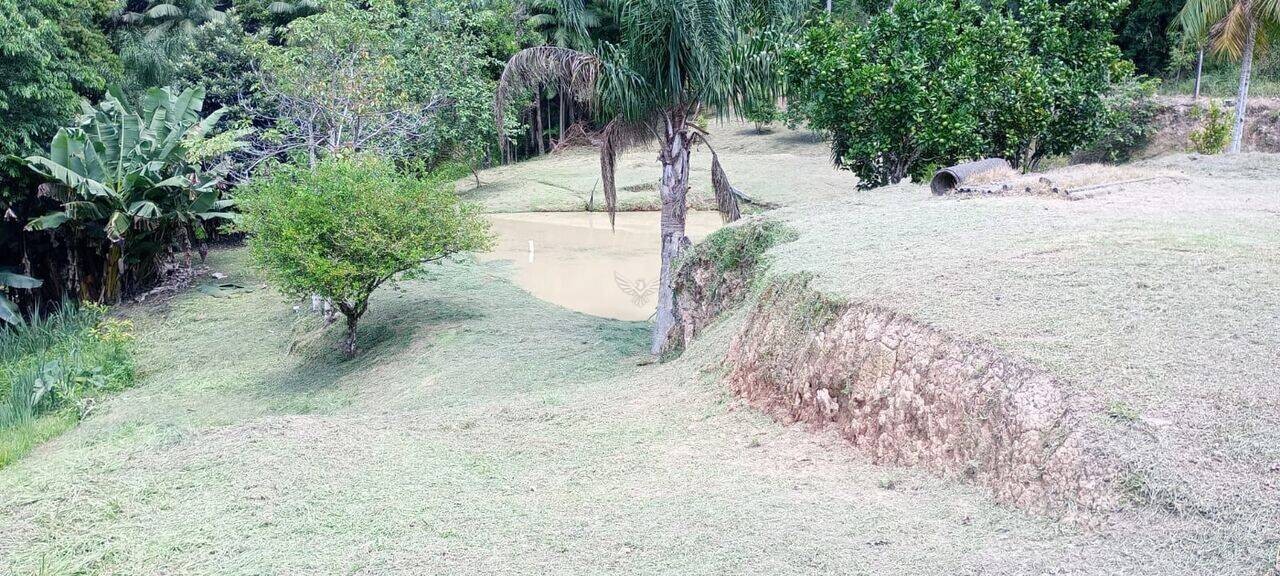 Sitio no Bairro Anchieta em Ibirama/SC Ref. 1671 — foto 4