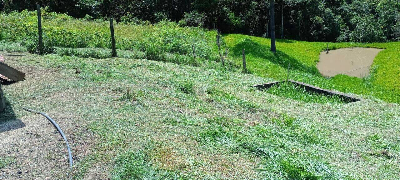 Sitio no Bairro Anchieta em Ibirama/SC Ref. 1671 — foto 5