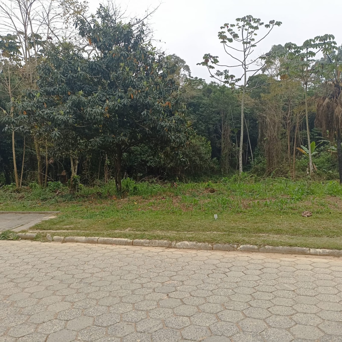 Terreno Pronto Para construir - foto 1