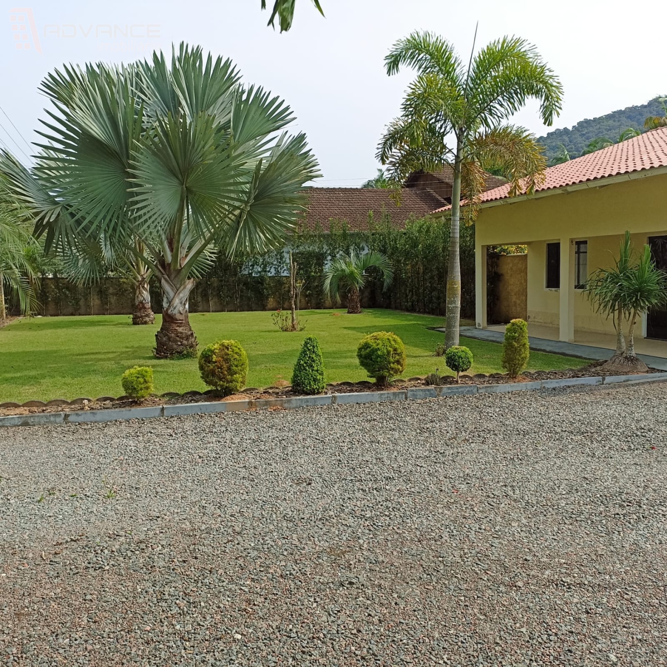 Belissima chácara em Ascurra — foto 3