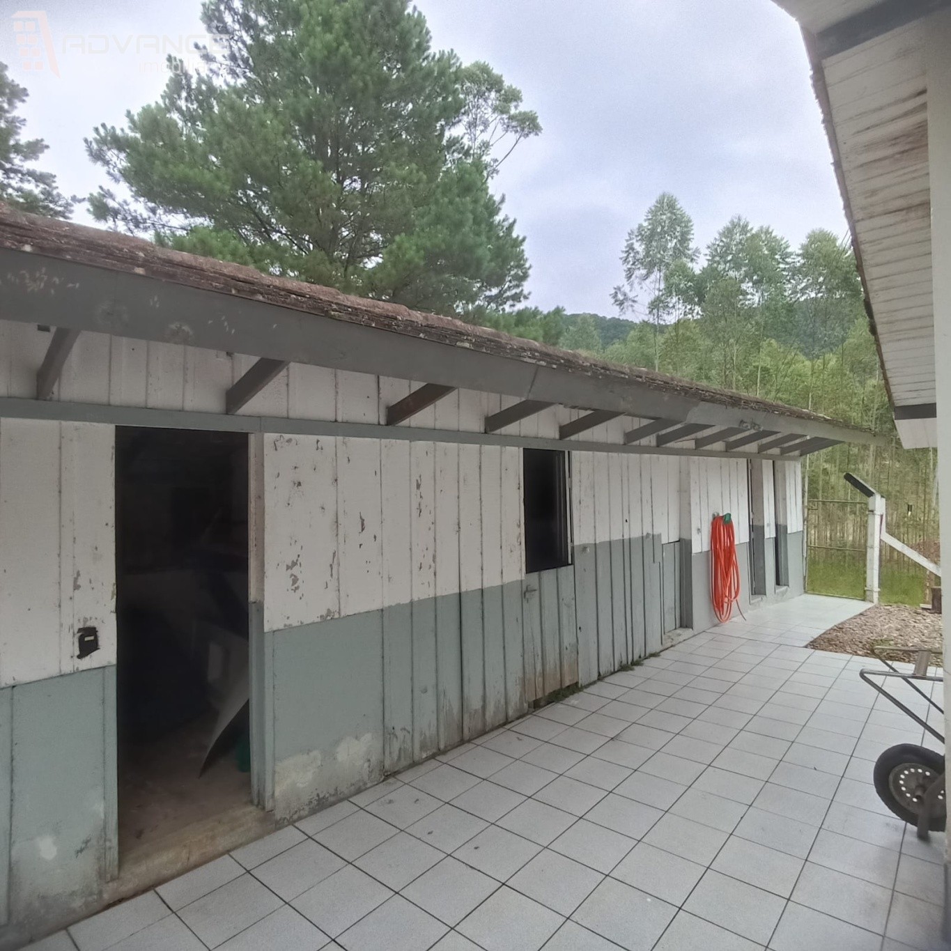 Sito com Casa, 3 Lagoas, Eucalipto e Pinus — foto 6