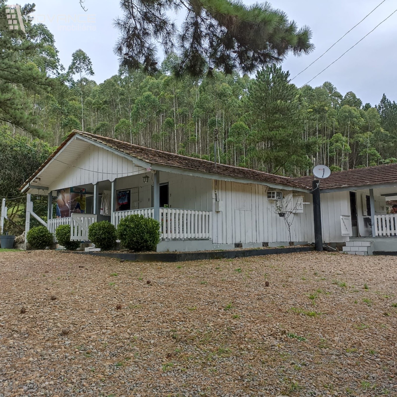 Sito com Casa, 3 Lagoas, Eucalipto e Pinus - foto 1