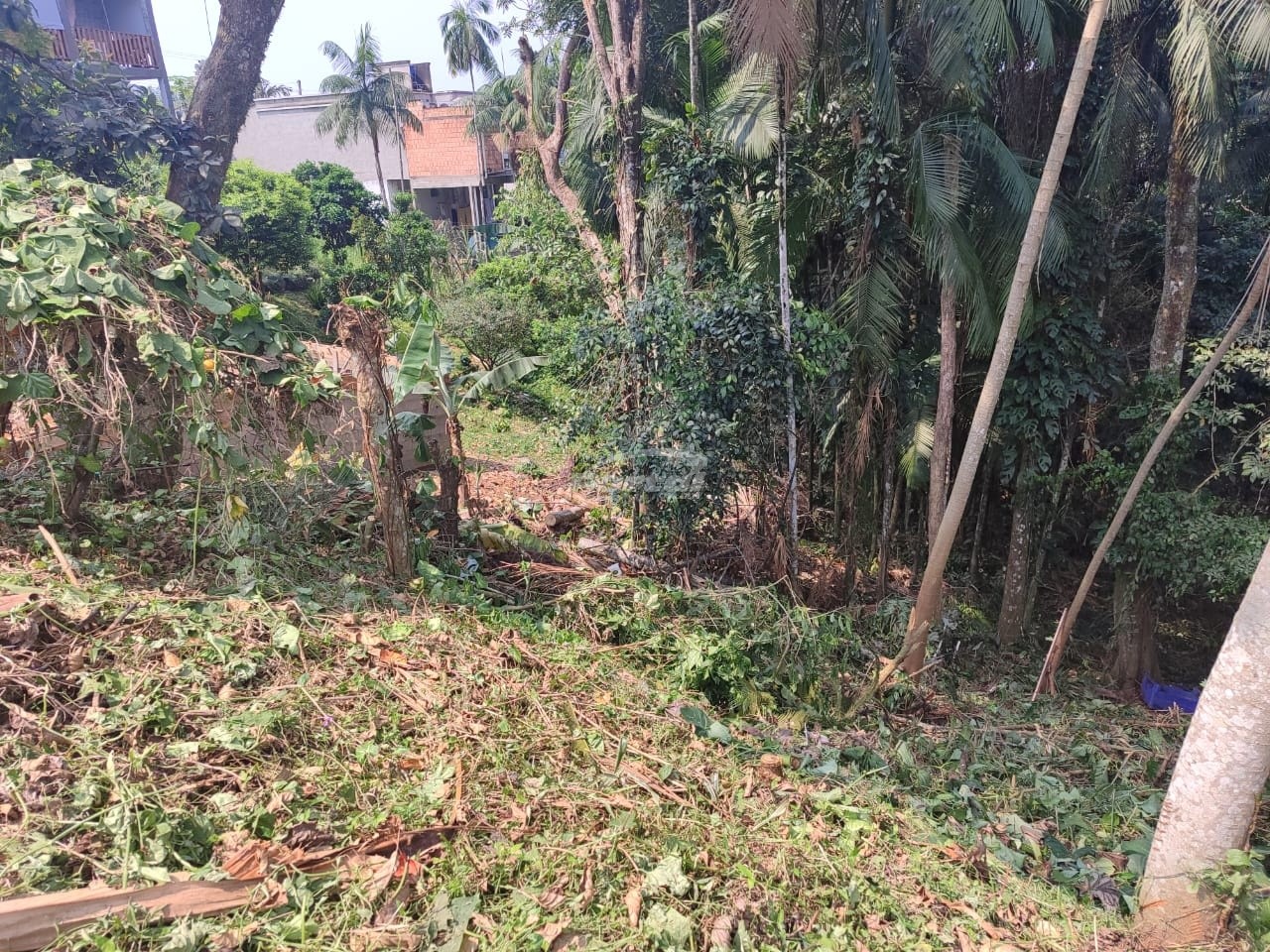 Lote/Terreno de 875m² no bairro Itoupavazinha, em Blumenau | Eu Corretor