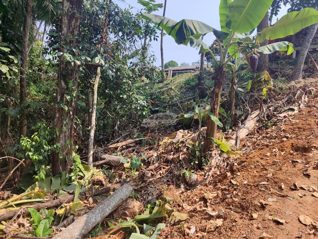 Lote/Terreno de 875m² no bairro Itoupavazinha, em Blumenau | Eu Corretor