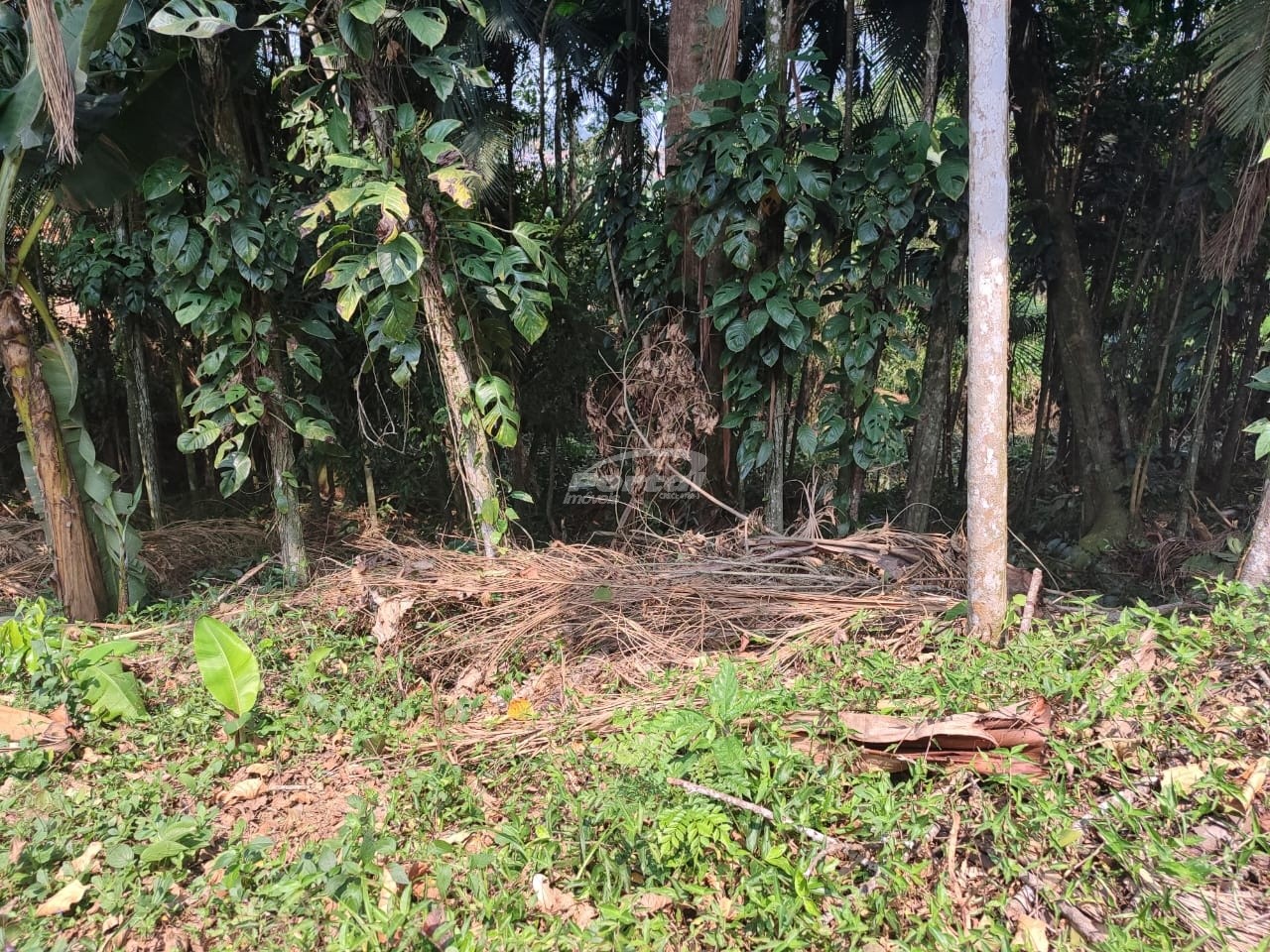 Lote/Terreno de 875m² no bairro Itoupavazinha, em Blumenau | Eu Corretor