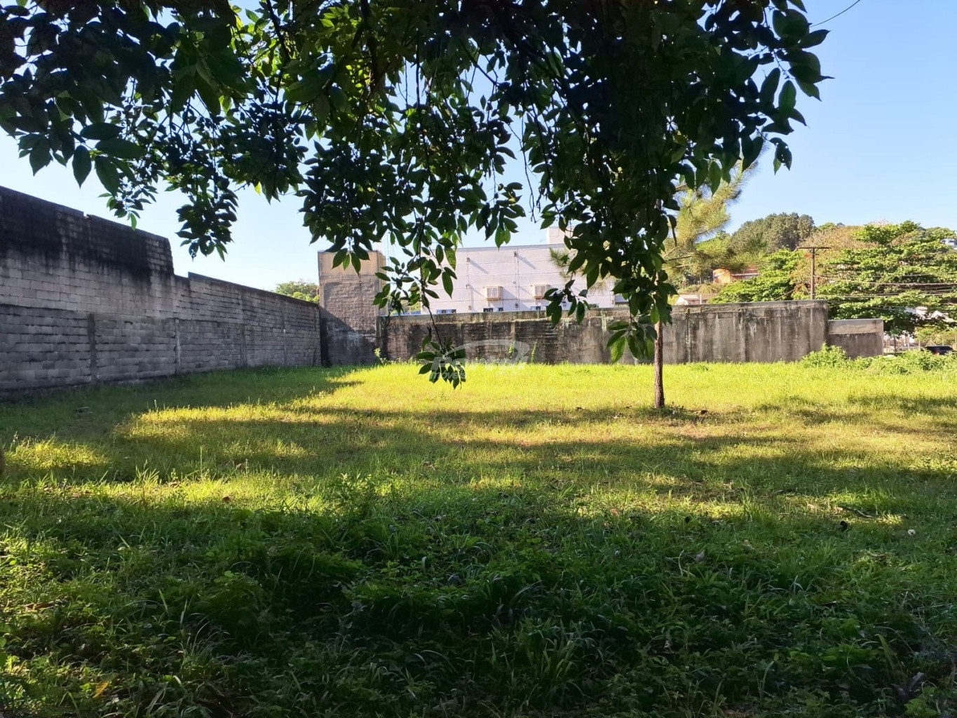 Terreno à venda, 2660m² - Foto 9