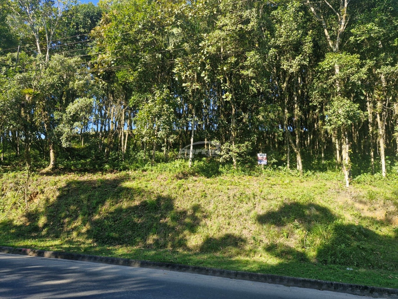 Lote/Terreno no bairro Fortaleza Alta, em Blumenau | Eu Corretor