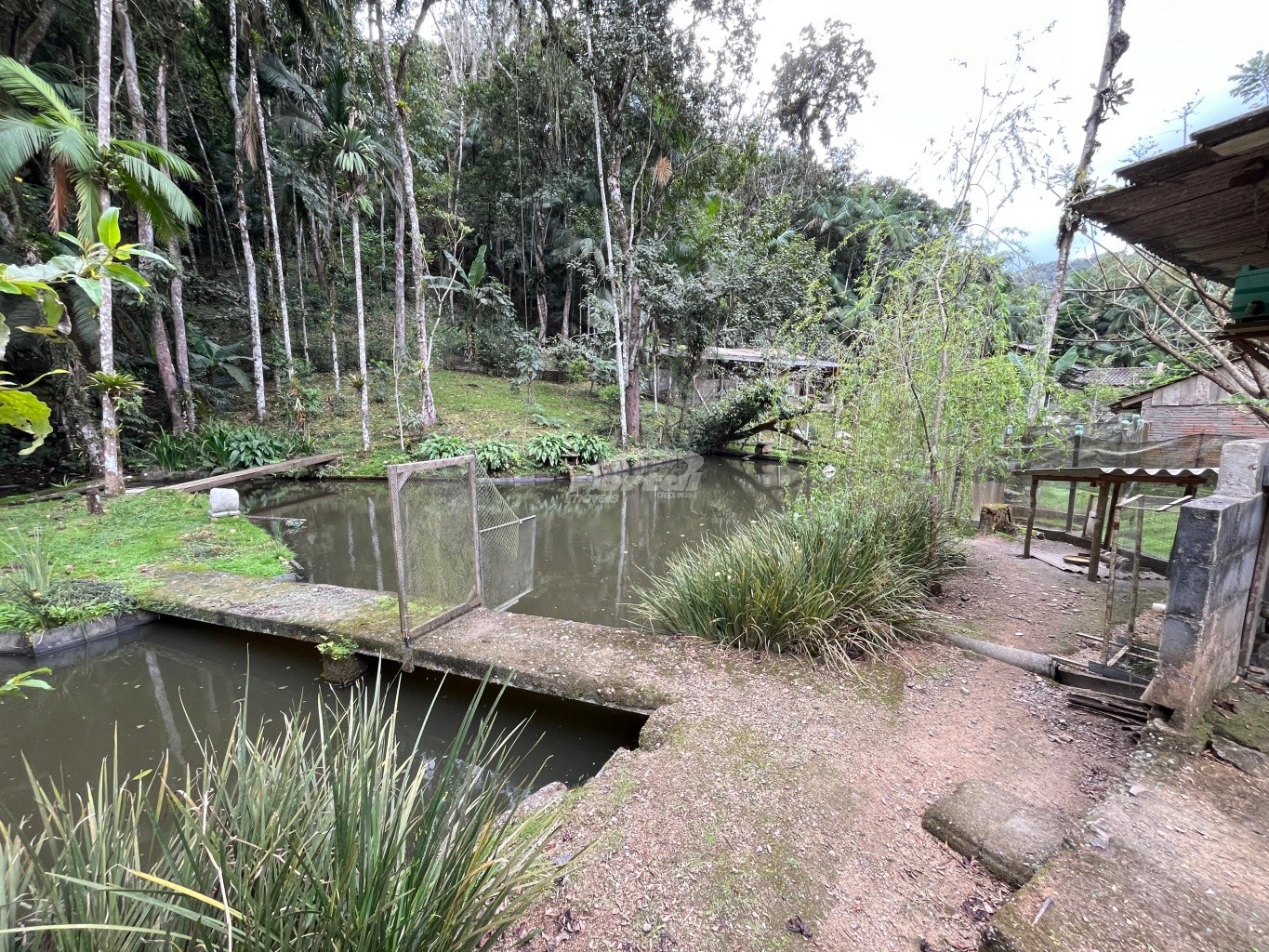 Fazenda/Sítios/Chácaras de 3 quartos, 106m² no bairro Itoupava Central, em Blumenau | Eu Corretor