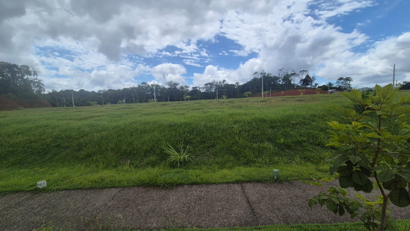 Terreno, 286 m² - Foto 13