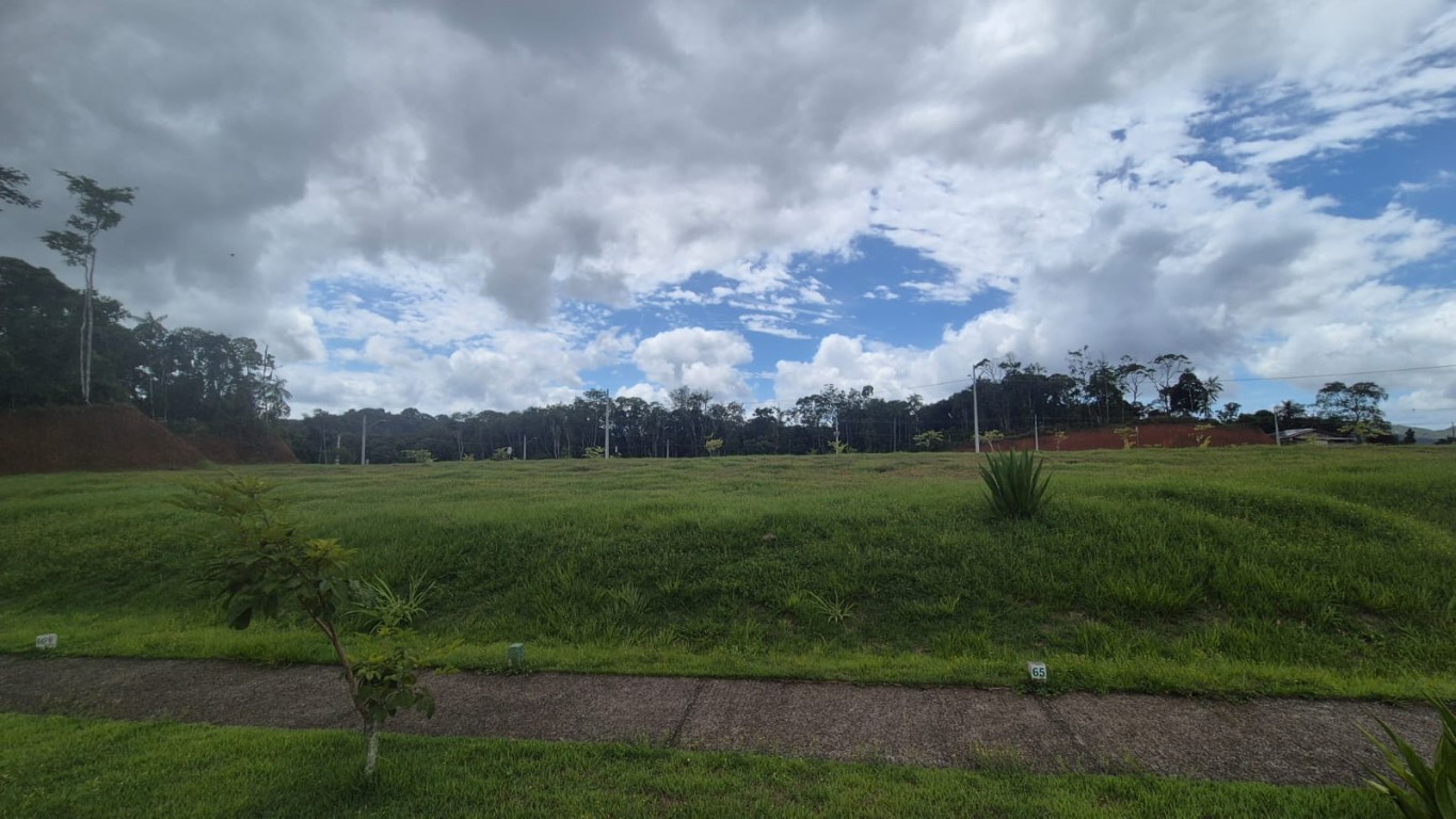 Terreno, 286 m² - Foto 10