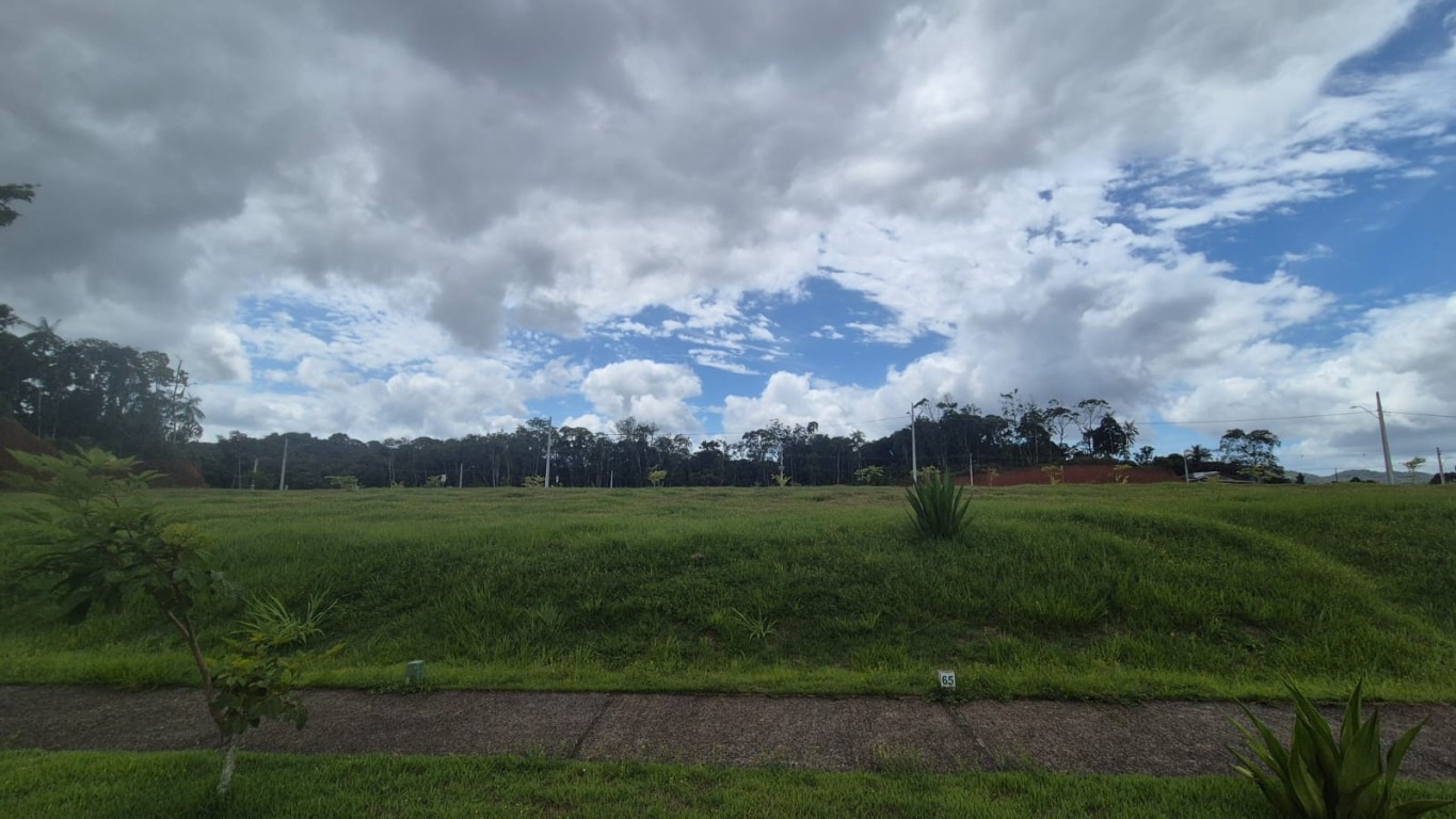 Terreno, 286 m² - Foto 8