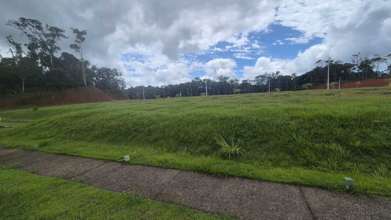 Terreno, 286 m² - Foto 14