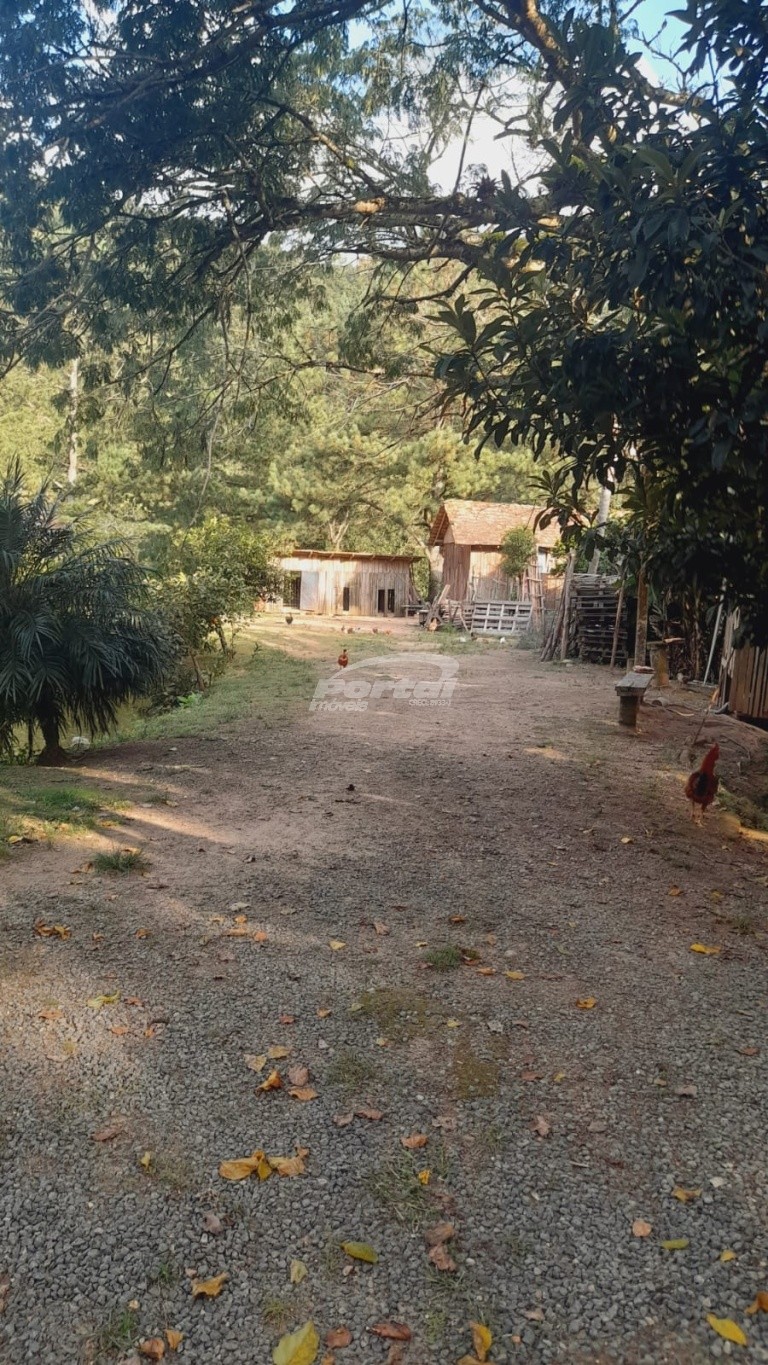 Fazenda, 2000 m² - Foto 4