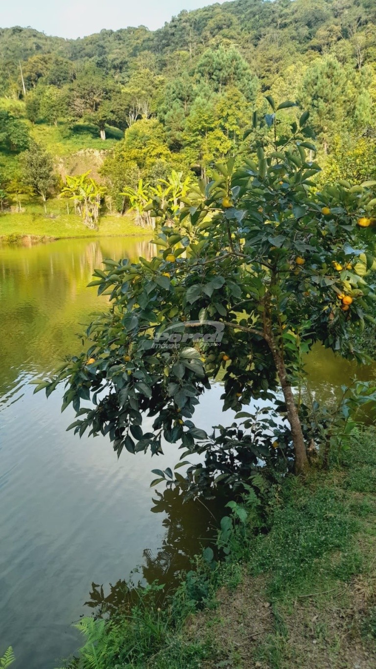 Fazenda, 2000 m² - Foto 8