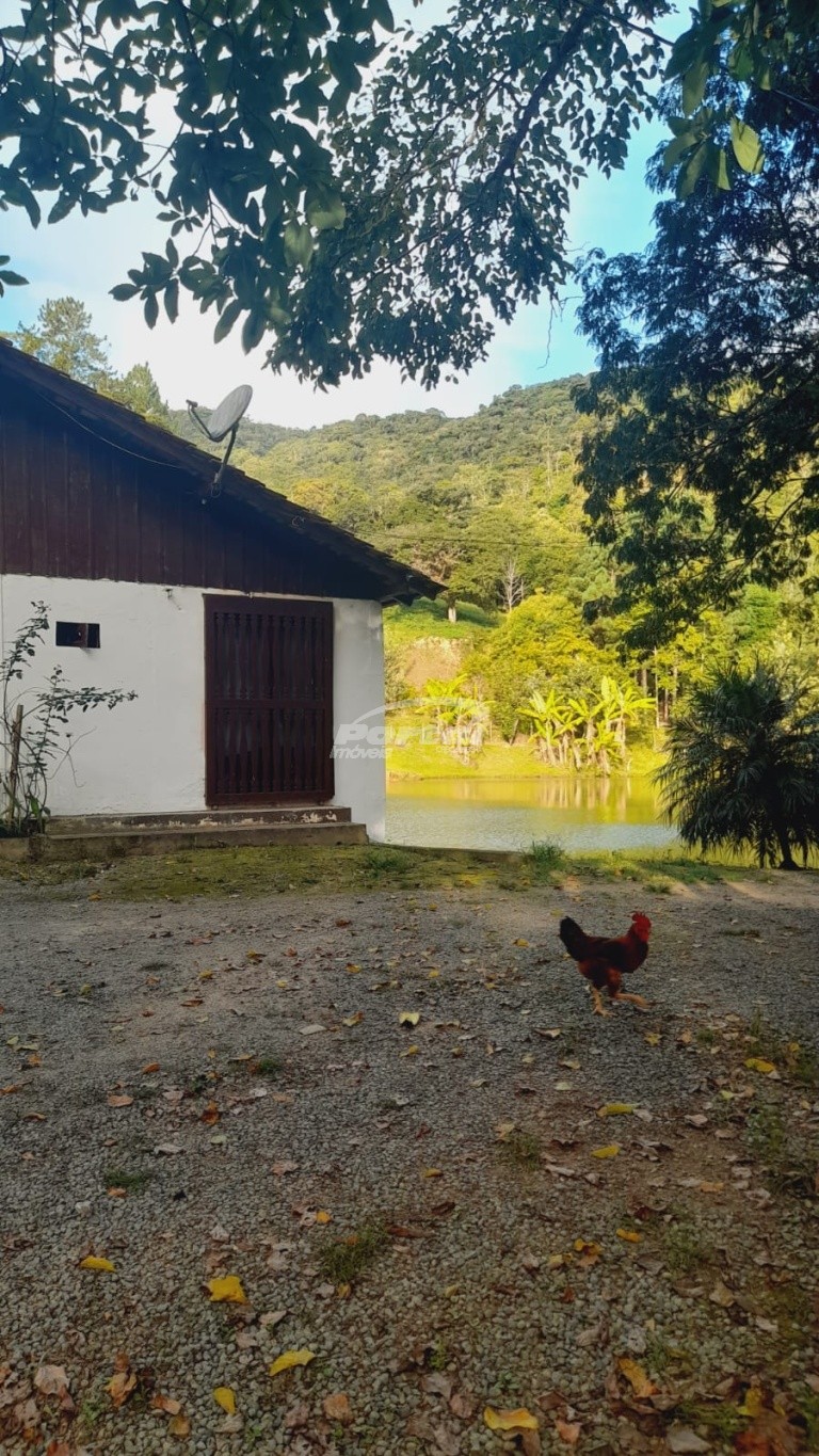 Fazenda, 2000 m² - Foto 10