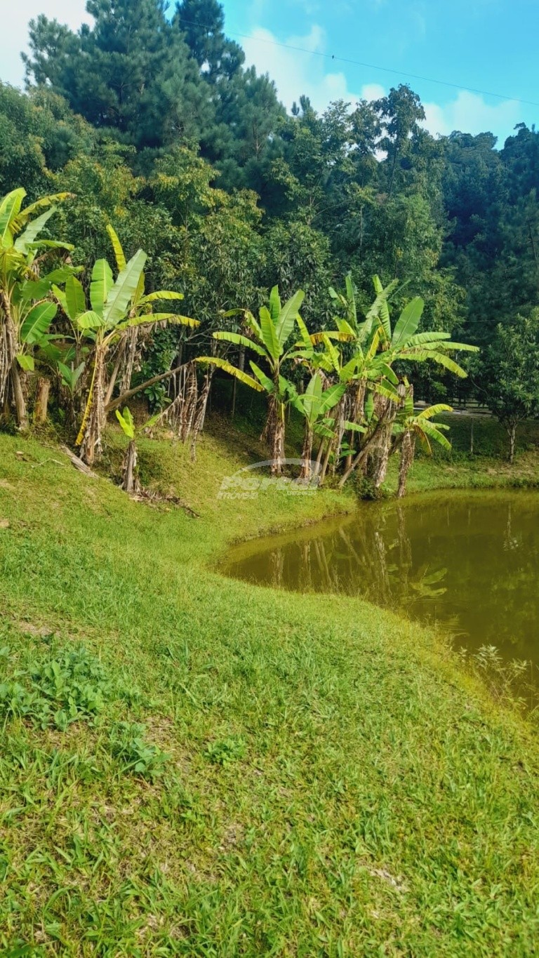 Fazenda, 2000 m² - Foto 13