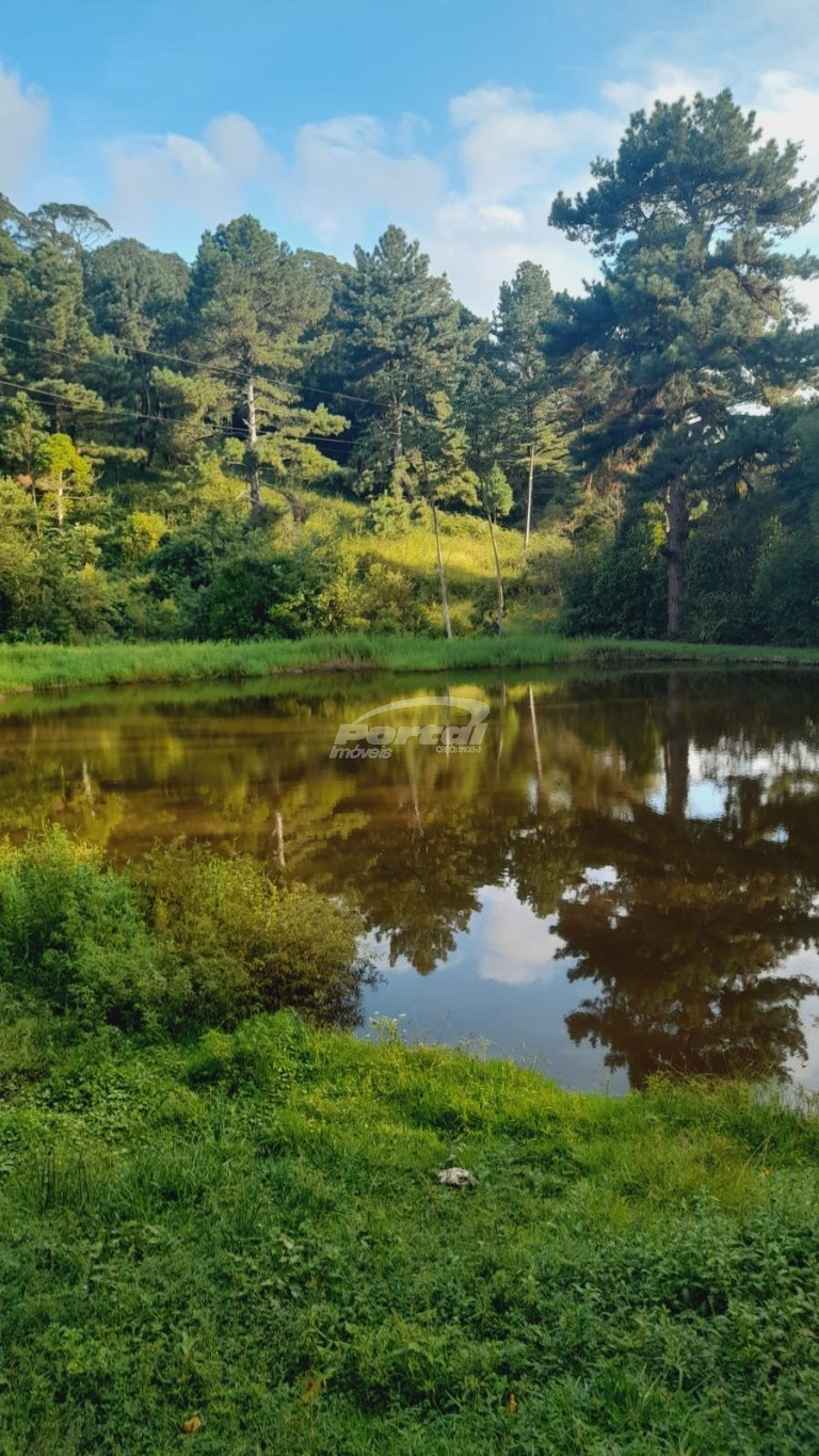 Fazenda, 2000 m² - Foto 21