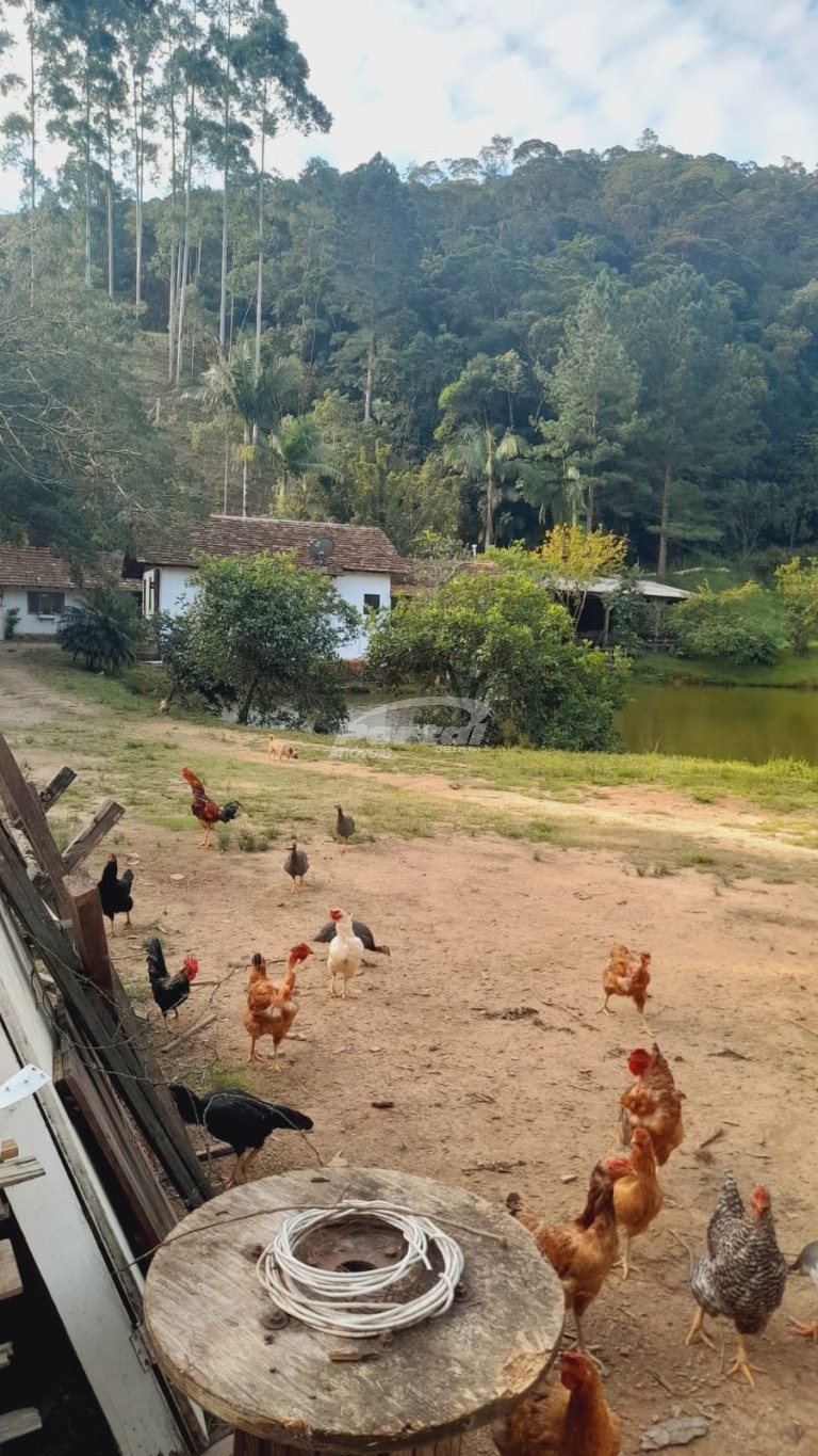 Fazenda, 2000 m² - Foto 24