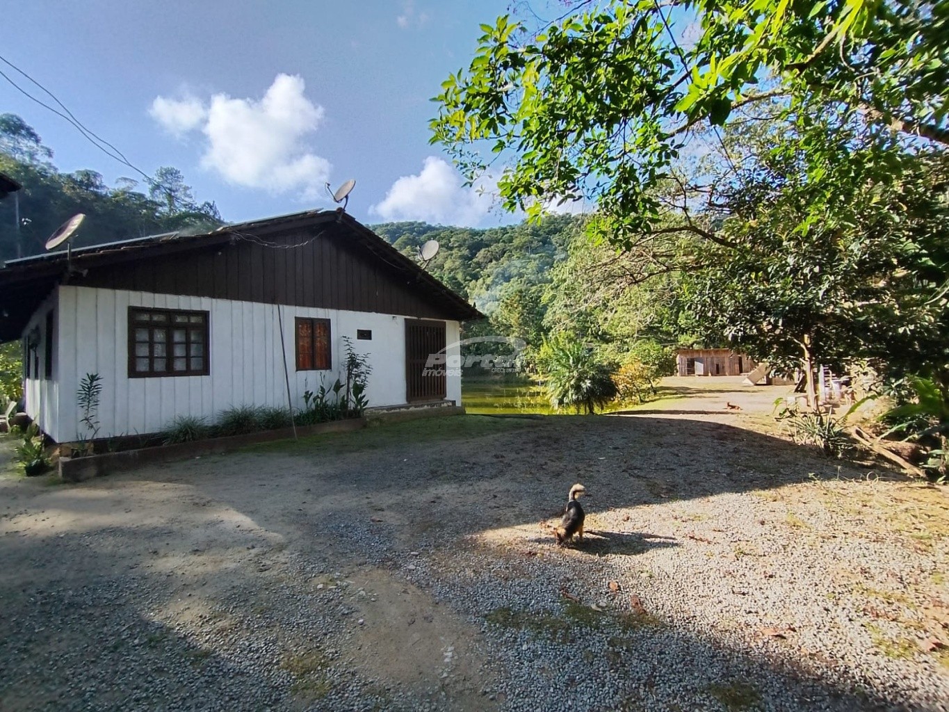 Fazenda, 2000 m² - Foto 27