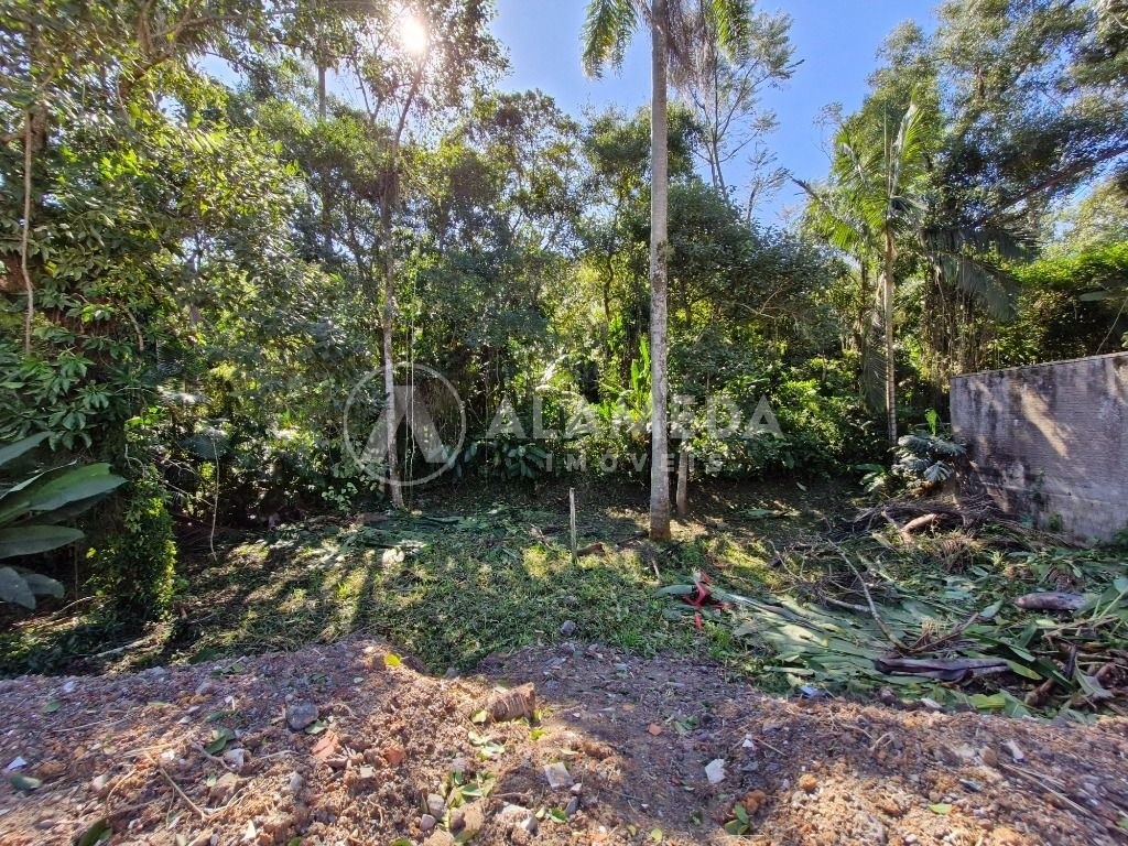 Terreno, 1634 m² - Foto 4