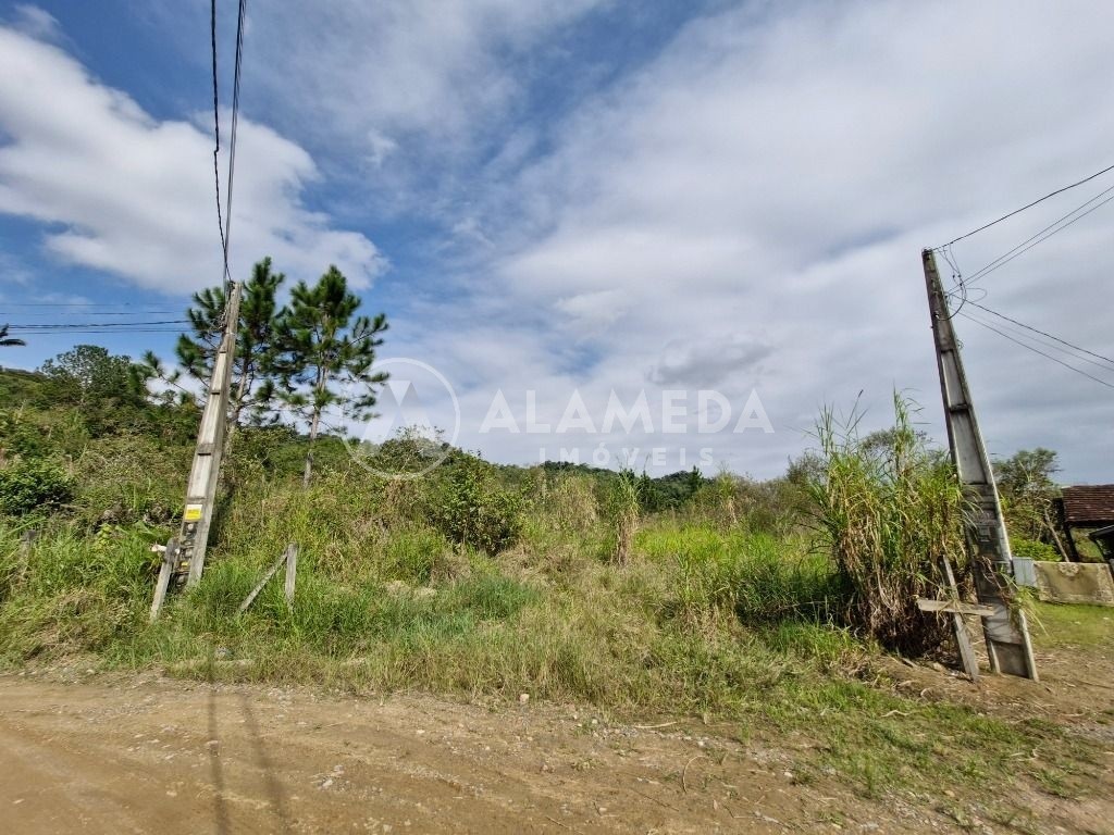 Terreno, 6287 m² - Foto 3