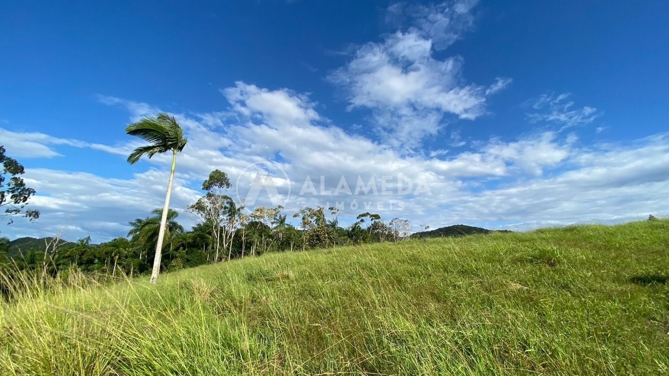 Terreno, 9 hectares - Foto 6