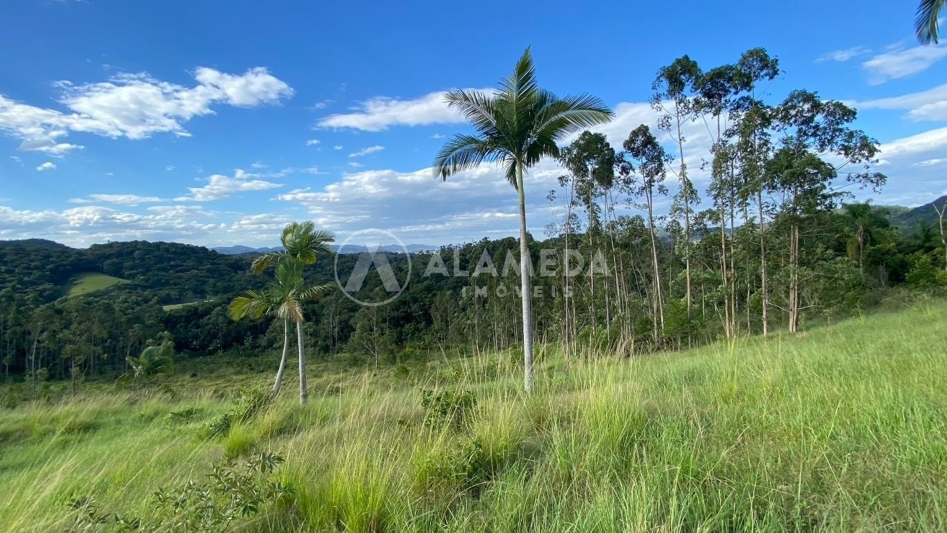 Terreno, 9 hectares - Foto 4