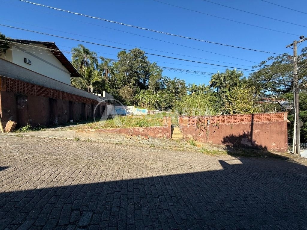 Terreno, 5403 m² - Foto 6
