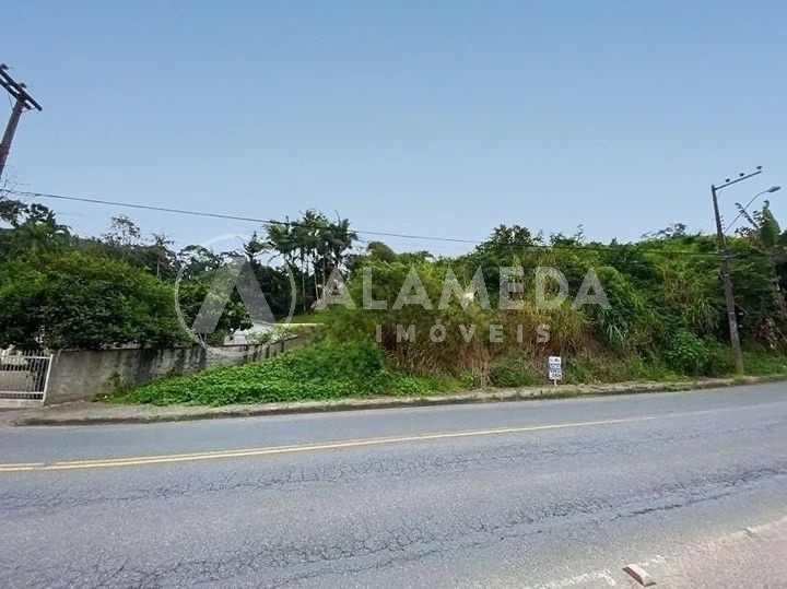 Terreno, 2 hectares - Foto 3