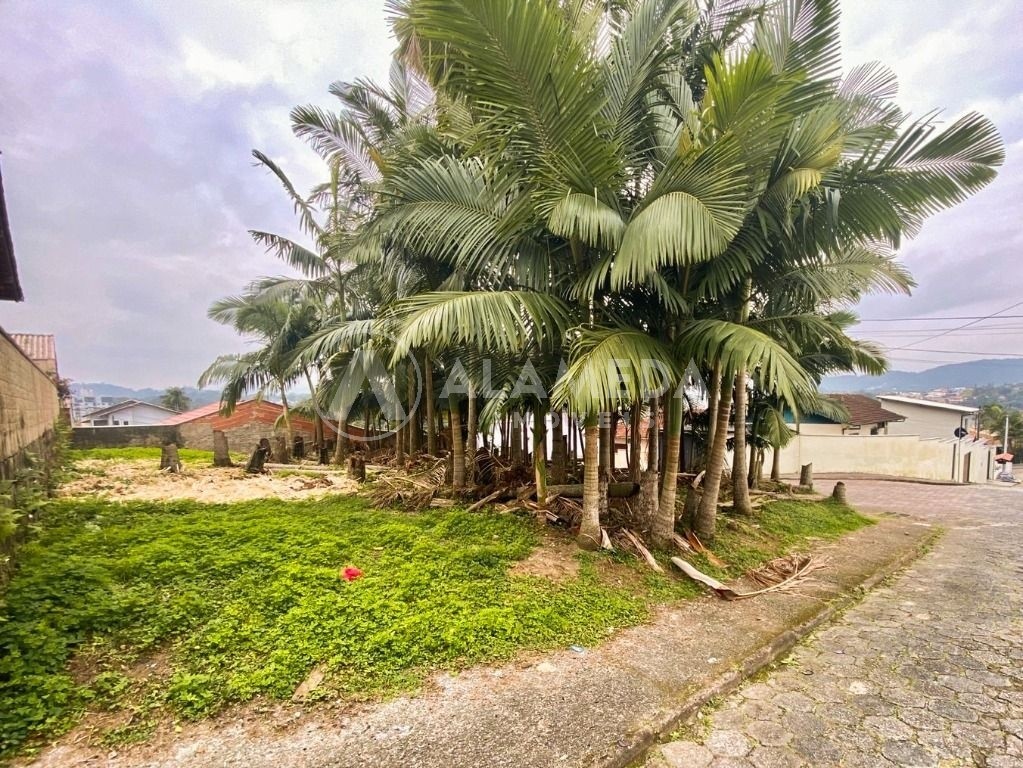 Terreno, 300 m² - Foto 4