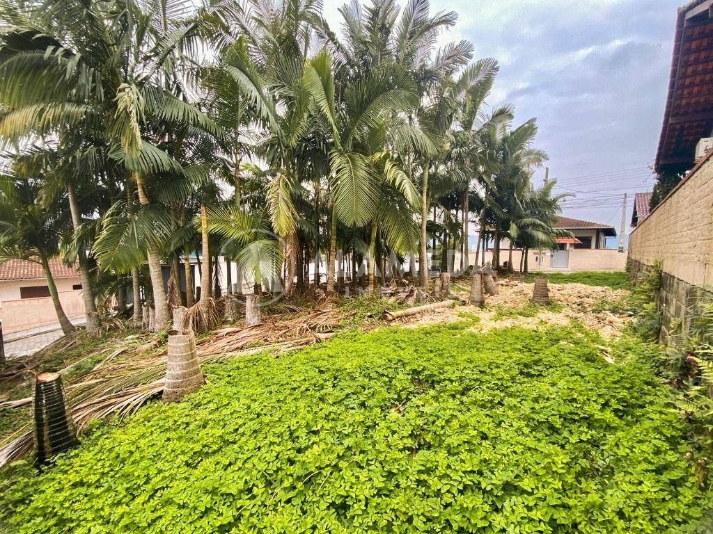 Terreno, 300 m² - Foto 3