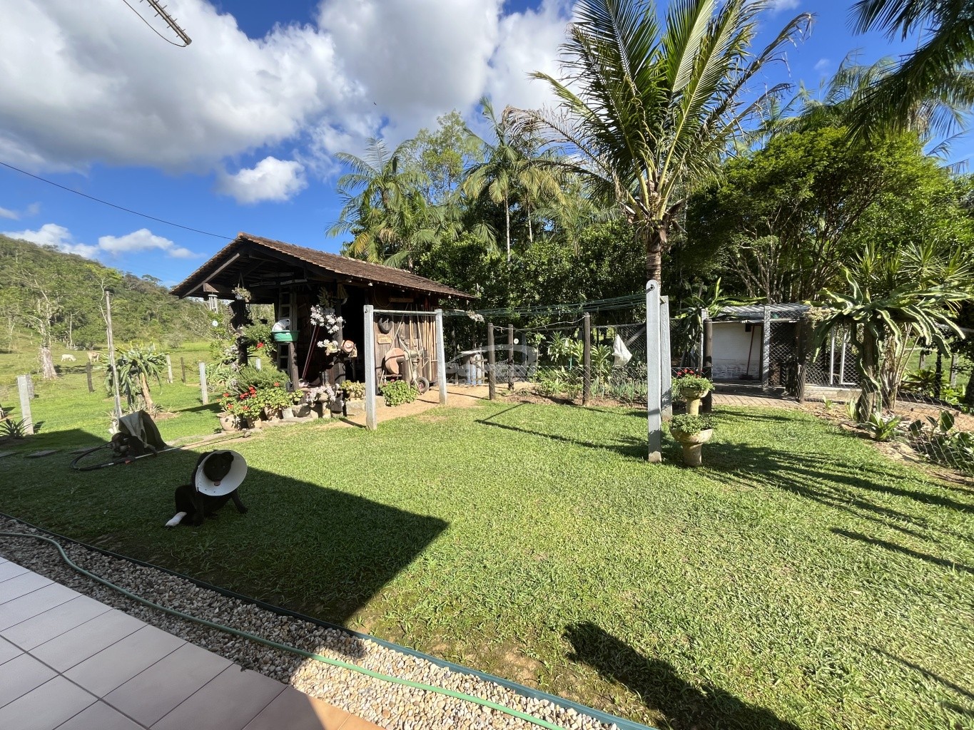 Sítio, 3 quartos, 9517 m² - Foto 4