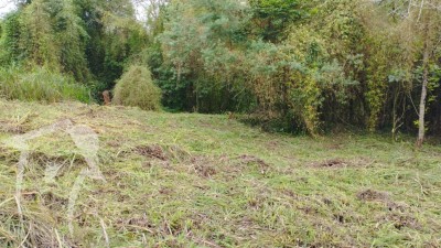 Lote/Terreno