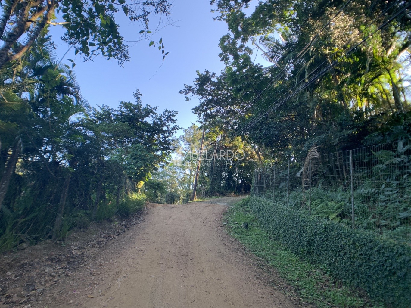 TERRENO - BAIRRO BOM RETIRO - — foto 6