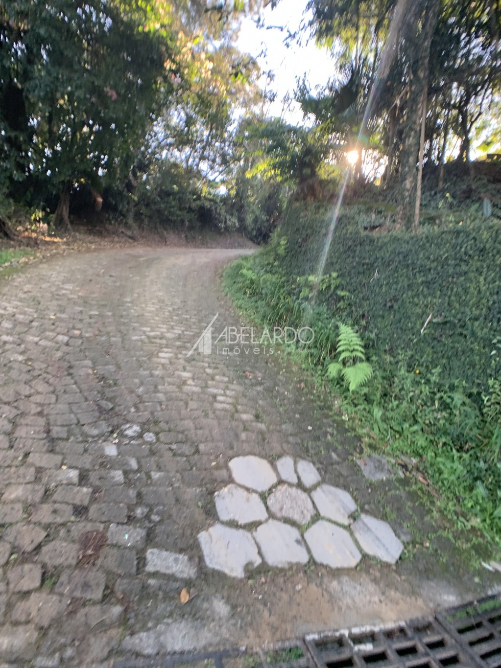 TERRENO - BAIRRO BOM RETIRO - — foto 7