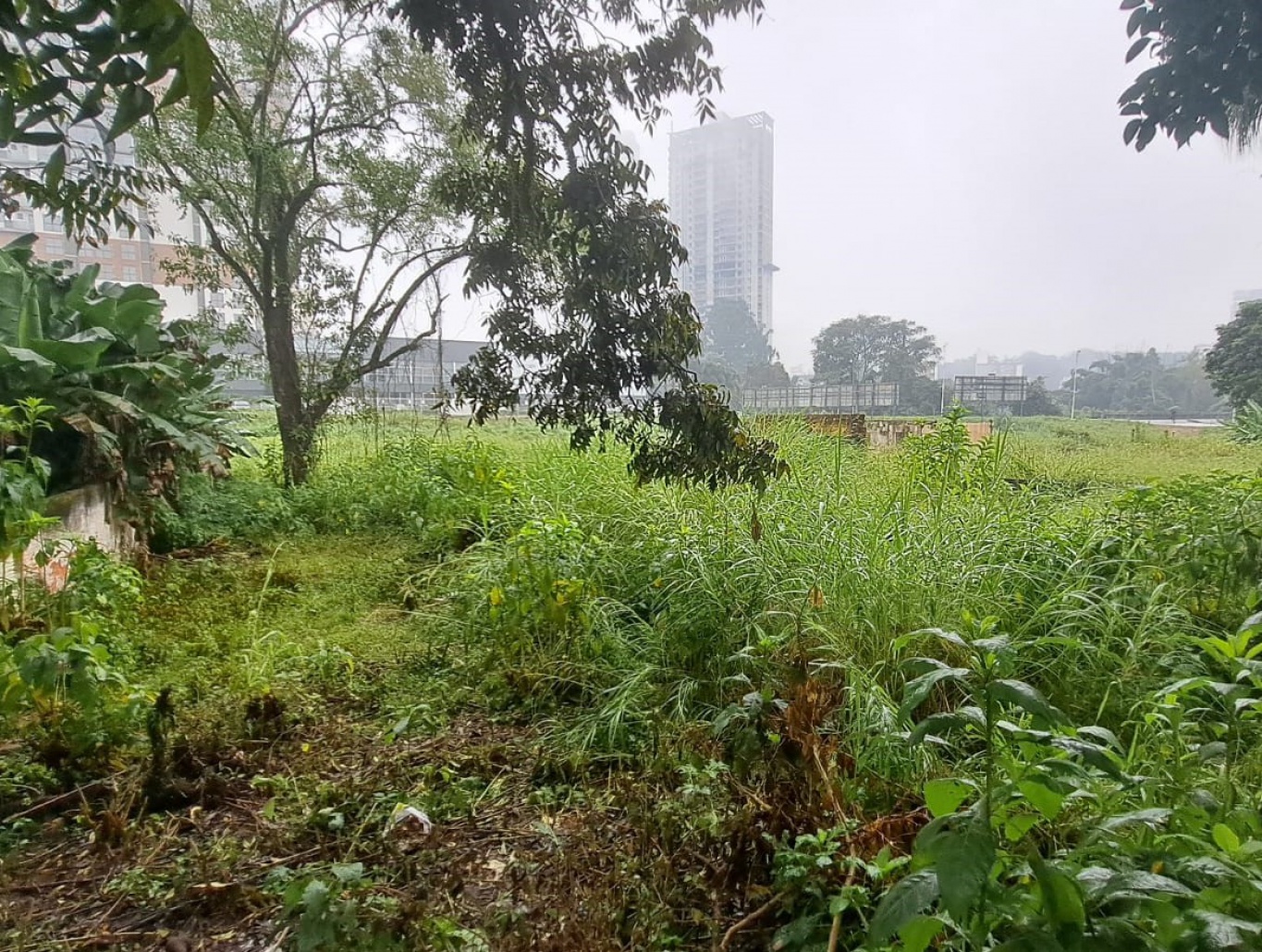 Terreno plano pronto para construir com excelente localização no centro da cidade, ideal para construção de sua residência ou sobrados. - foto 1