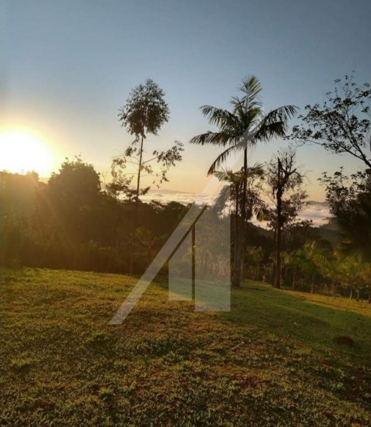 Próximo à rota do Vale Europeu, este terreno é ideal para quem busca investir ou construir seu refúgio junto à natureza CIDADE DE RODEIO — foto 6