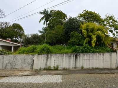 Velha