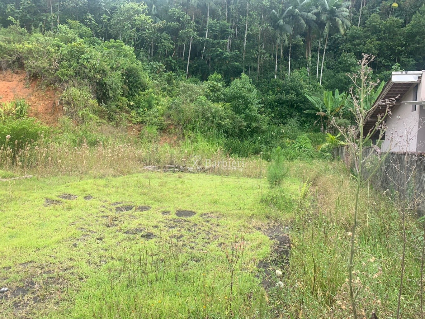 Terreno com 440 m no bairro Fortaleza em Blumenau/SC - foto 1