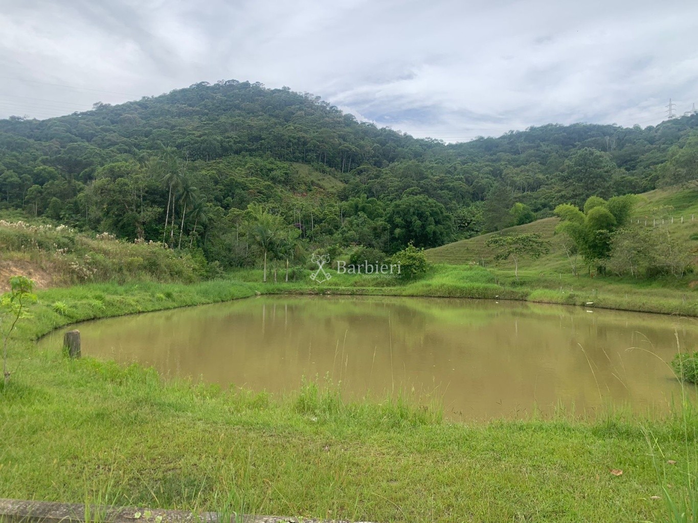 Terreno com 43.000 m no bairro Fortaleza em Blumenau/SC - foto 1