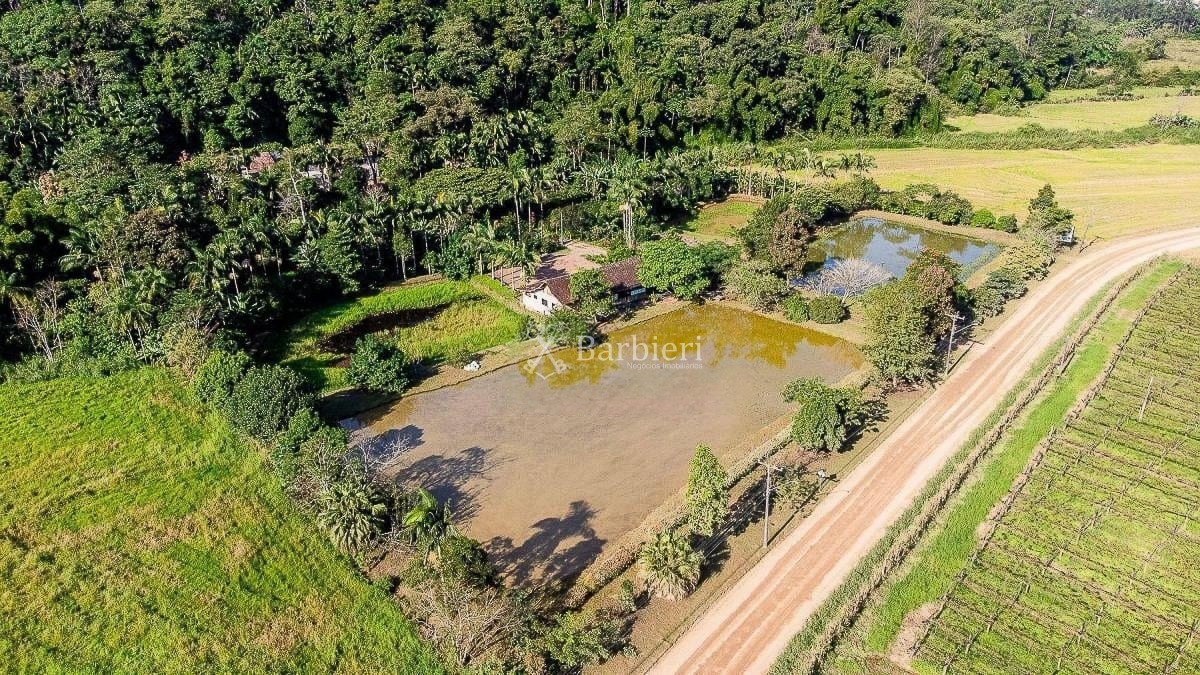 Sítio à venda com 50000m no bairro São Pedro Novo em Rodeio/SC — foto 3
