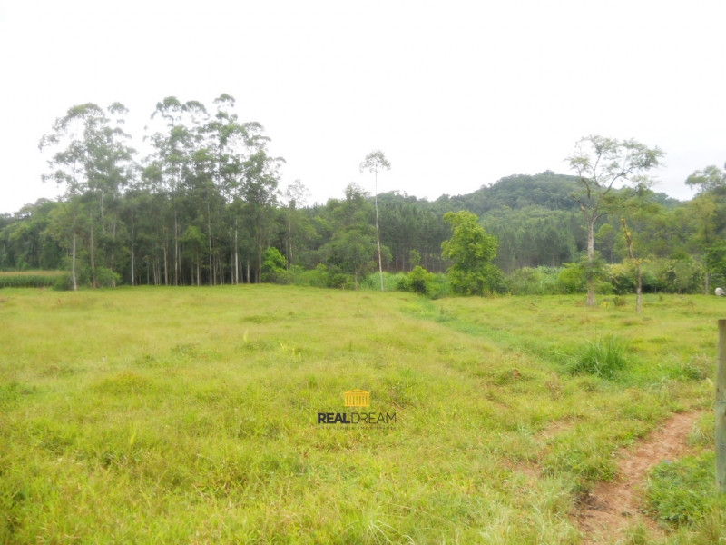 Terreno (CS2/ZR4/ZR2/ZPA) comercial e residencial, frente de 49,00 m para rua asfaltada, semi plano, indicado para construção de condomínio multifamiliar e loteamento. — foto 2