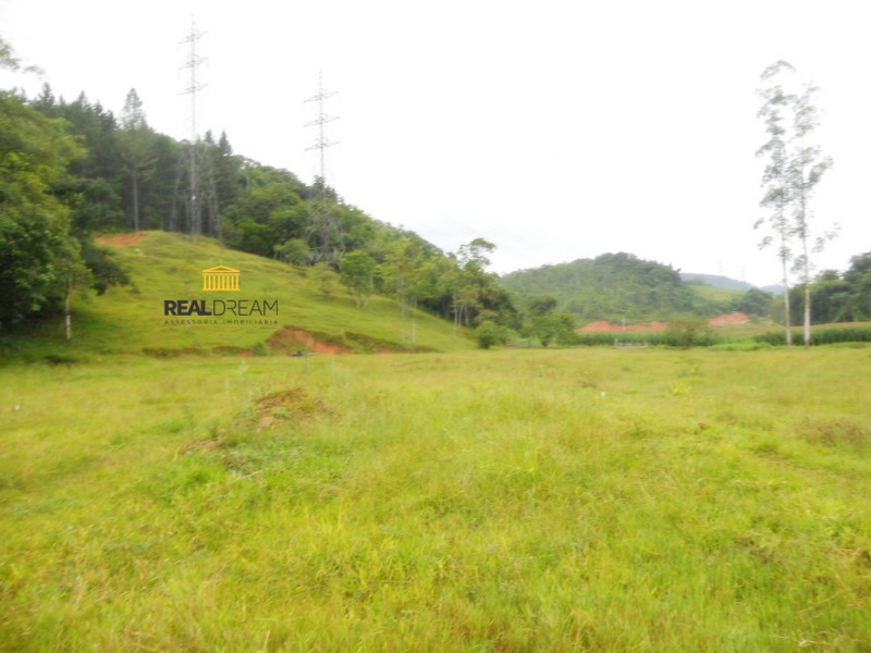 Terreno (CS2/ZR4/ZR2/ZPA) comercial e residencial, frente de 49,00 m para rua asfaltada, semi plano, indicado para construção de condomínio multifamiliar e loteamento. — foto 3