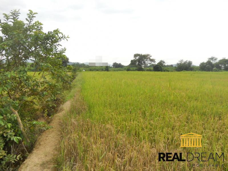 Terreno 62.000 m para loteamento em Gaspar — foto 2