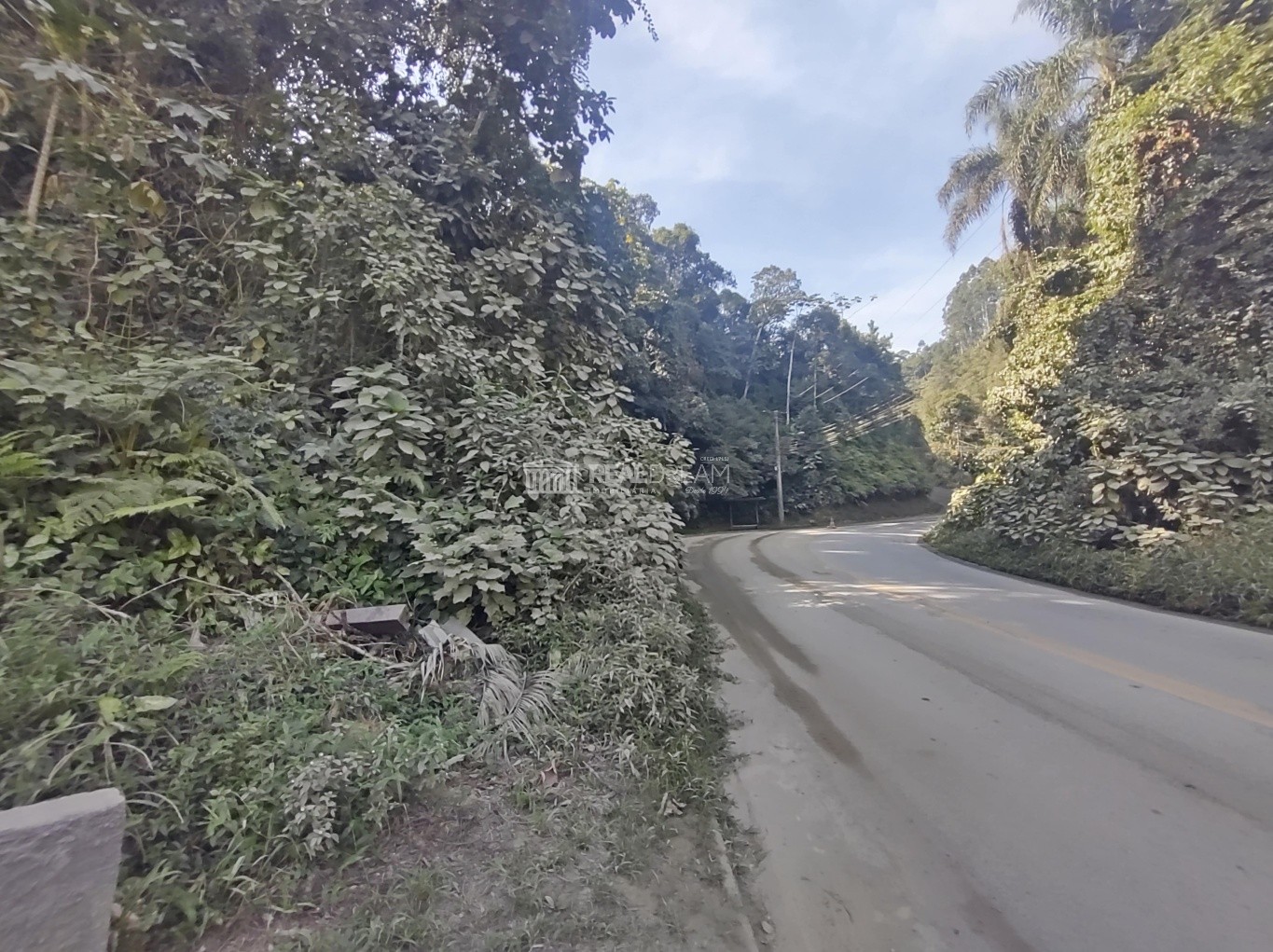 Terreno (ZOC) com 3.768,62m com 57,00de frente para a Rua Brusque. - foto 1